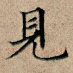 见