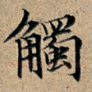 触