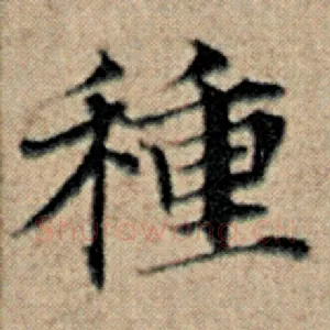 种
