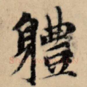 体