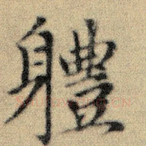 体