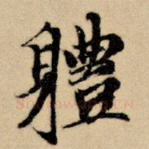 体