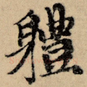 体