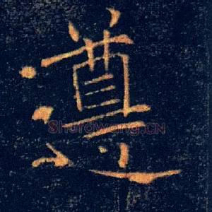 遵