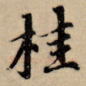 桂