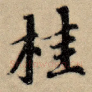 桂