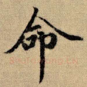 命