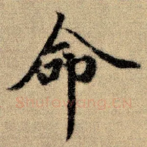 命