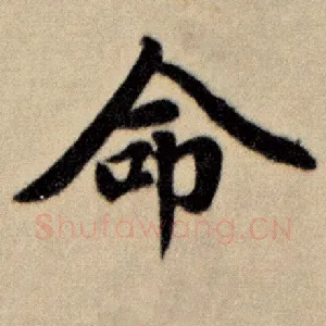 命