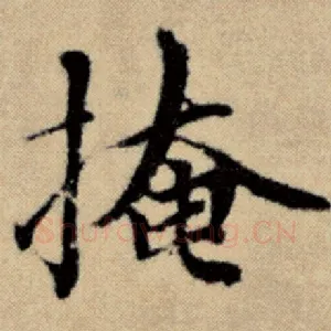 掩