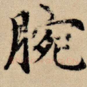腕
