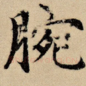 腕