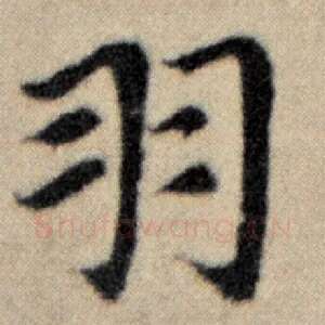 羽