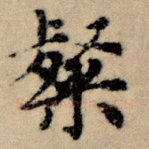 粲