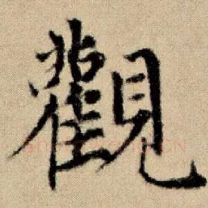 观