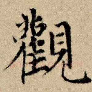 观