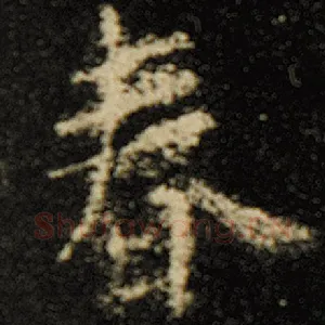 春