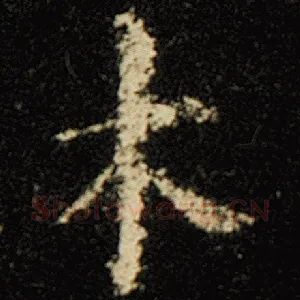 术