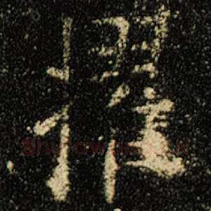擢
