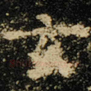 玄