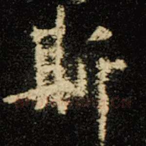斯