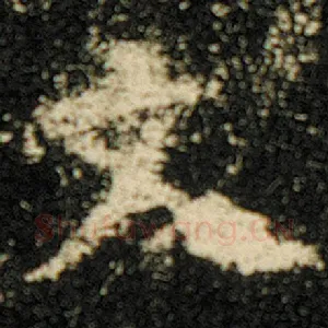 文