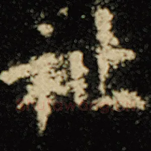 祉