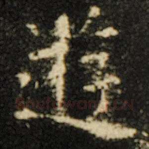 游