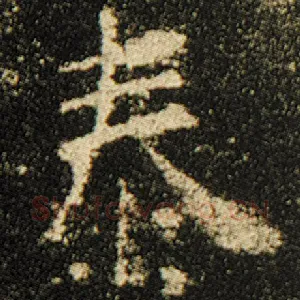 泰