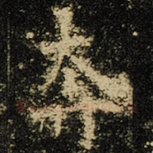 奔