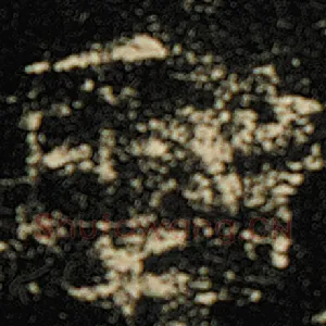 圣