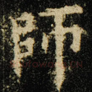 师