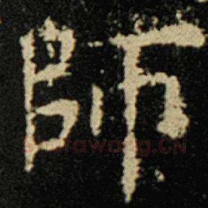 师
