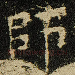 师