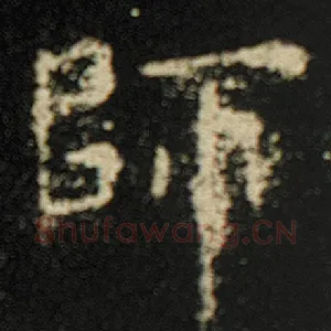 师