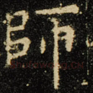 师