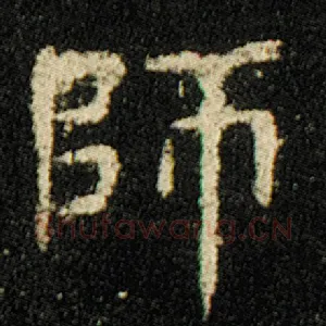 师