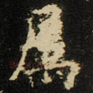 属