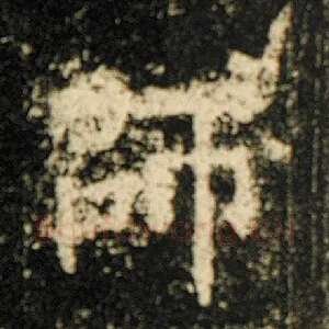 师