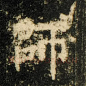 师