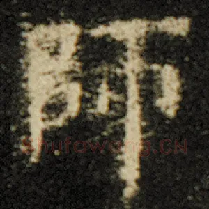 师