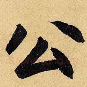 公