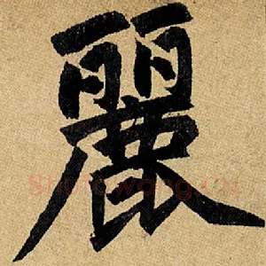 丽