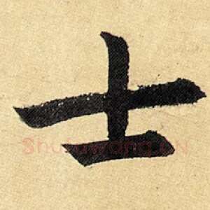 士