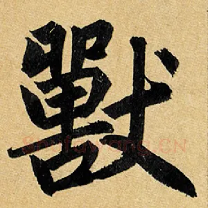 兽