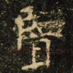 览