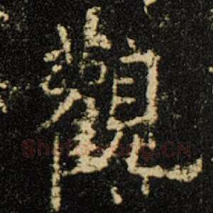 观