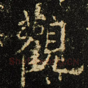 观
