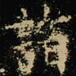 诣