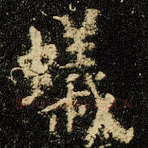 蚁